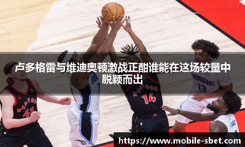 卢多格雷与维迪奥顿激战正酣谁能在这场较量中脱颖而出